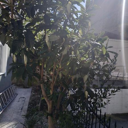 Agelikis' Apartments Nea Kallikrateia Eksteriør bilde